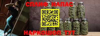 прущие крисы Новокубанск