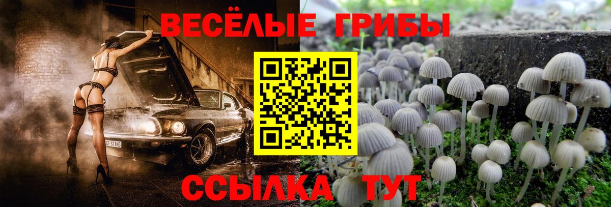 Галлюциногенные грибы Cubensis Советск