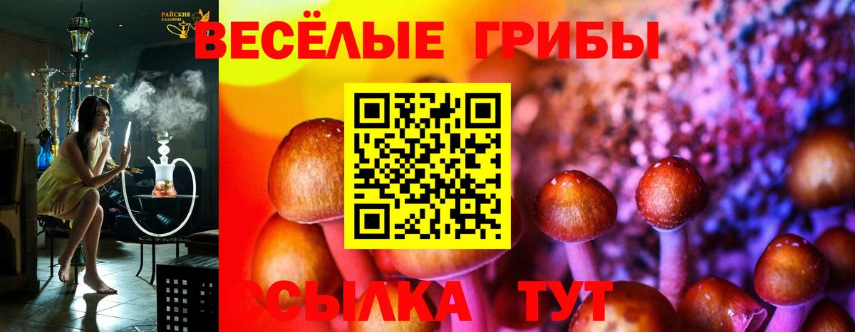 Псилоцибиновые грибы мицелий  Псилоцибиновые грибы Cubensis  Вход с VPN  Советск 